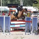 Poney de grand prix atila de talforest 